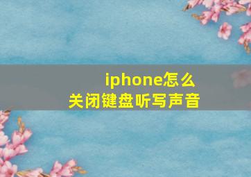 iphone怎么关闭键盘听写声音