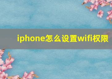 iphone怎么设置wifi权限