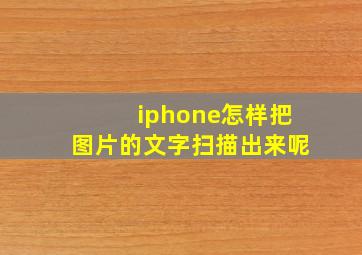 iphone怎样把图片的文字扫描出来呢