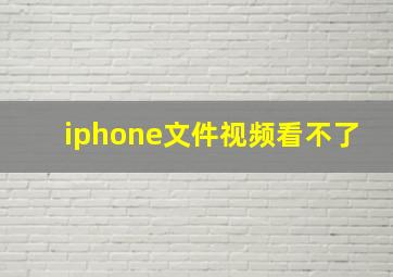 iphone文件视频看不了