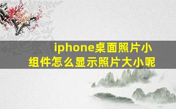 iphone桌面照片小组件怎么显示照片大小呢