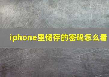 iphone里储存的密码怎么看