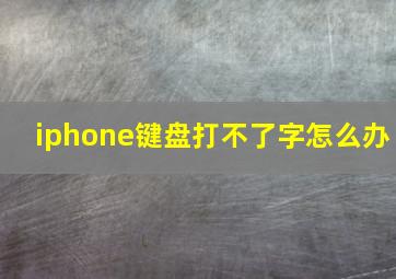 iphone键盘打不了字怎么办