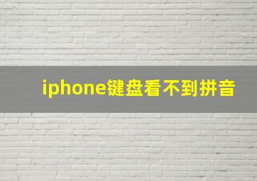 iphone键盘看不到拼音