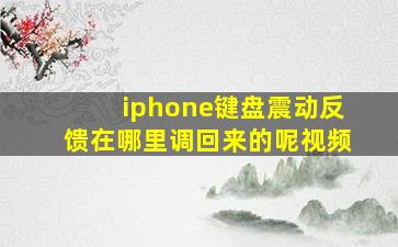 iphone键盘震动反馈在哪里调回来的呢视频