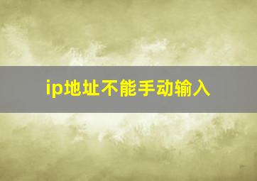 ip地址不能手动输入