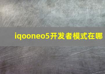 iqooneo5开发者模式在哪