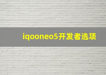 iqooneo5开发者选项