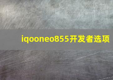 iqooneo855开发者选项