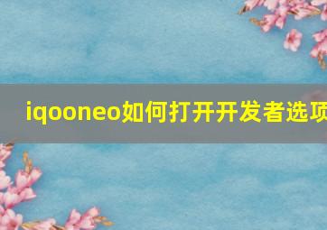 iqooneo如何打开开发者选项