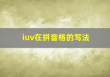 iuv在拼音格的写法