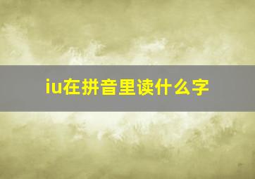 iu在拼音里读什么字