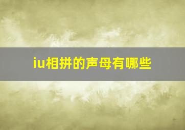 iu相拼的声母有哪些