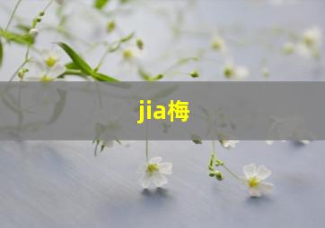 jia梅