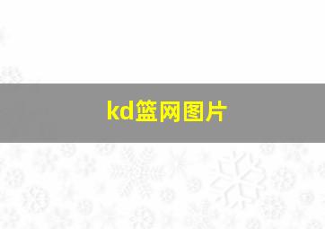 kd篮网图片