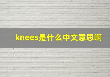 knees是什么中文意思啊