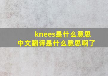 knees是什么意思中文翻译是什么意思啊了