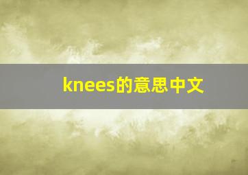 knees的意思中文