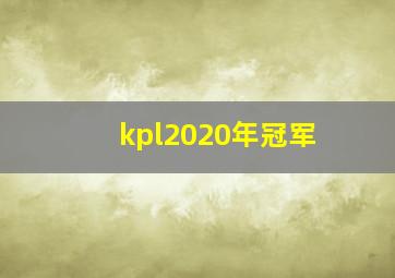 kpl2020年冠军