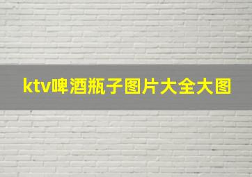 ktv啤酒瓶子图片大全大图