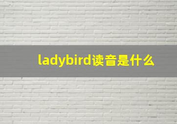 ladybird读音是什么