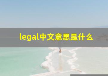 legal中文意思是什么