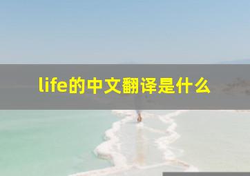 life的中文翻译是什么