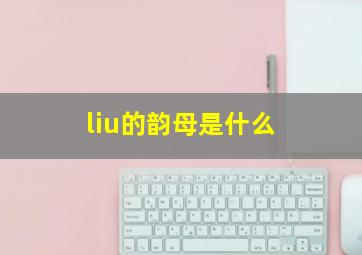 liu的韵母是什么