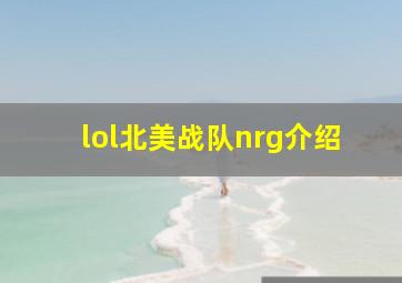 lol北美战队nrg介绍