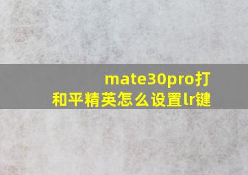 mate30pro打和平精英怎么设置lr键