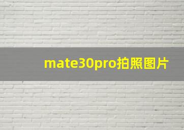 mate30pro拍照图片