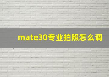 mate30专业拍照怎么调