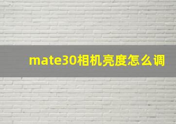 mate30相机亮度怎么调