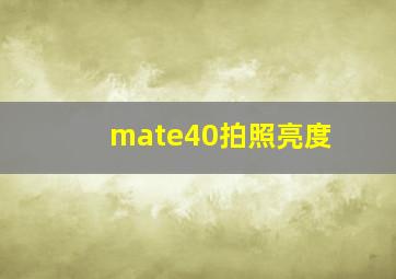 mate40拍照亮度