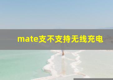 mate支不支持无线充电