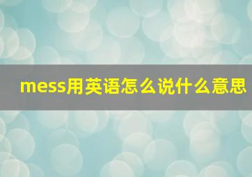 mess用英语怎么说什么意思