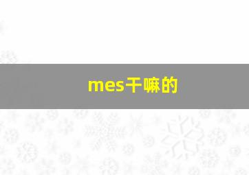 mes干嘛的