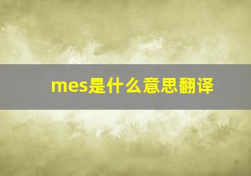 mes是什么意思翻译