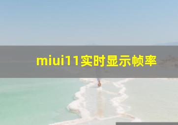 miui11实时显示帧率