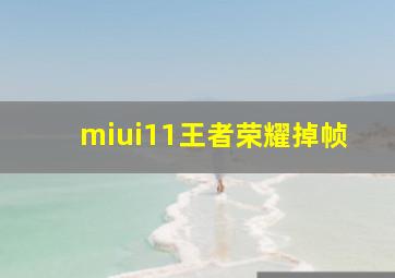 miui11王者荣耀掉帧