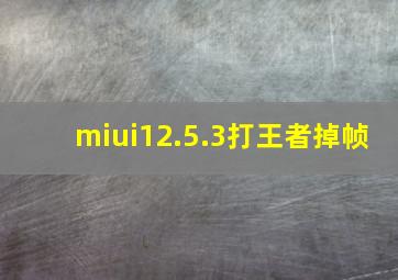 miui12.5.3打王者掉帧