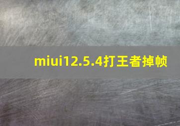 miui12.5.4打王者掉帧