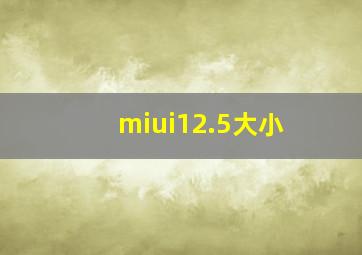 miui12.5大小