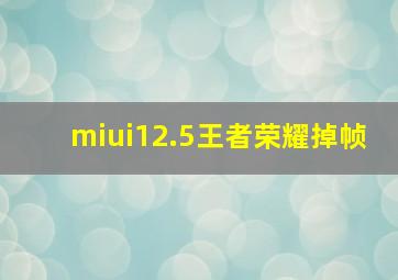 miui12.5王者荣耀掉帧