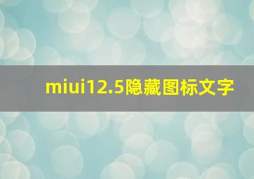 miui12.5隐藏图标文字