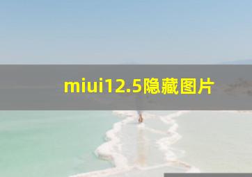 miui12.5隐藏图片