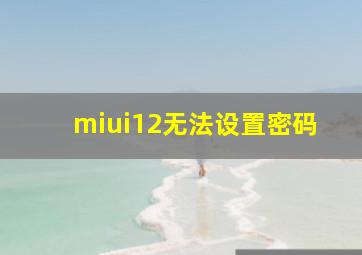 miui12无法设置密码