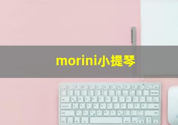 morini小提琴