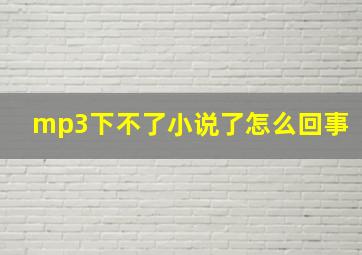 mp3下不了小说了怎么回事