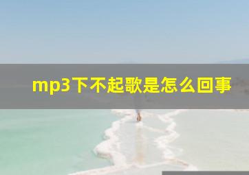 mp3下不起歌是怎么回事